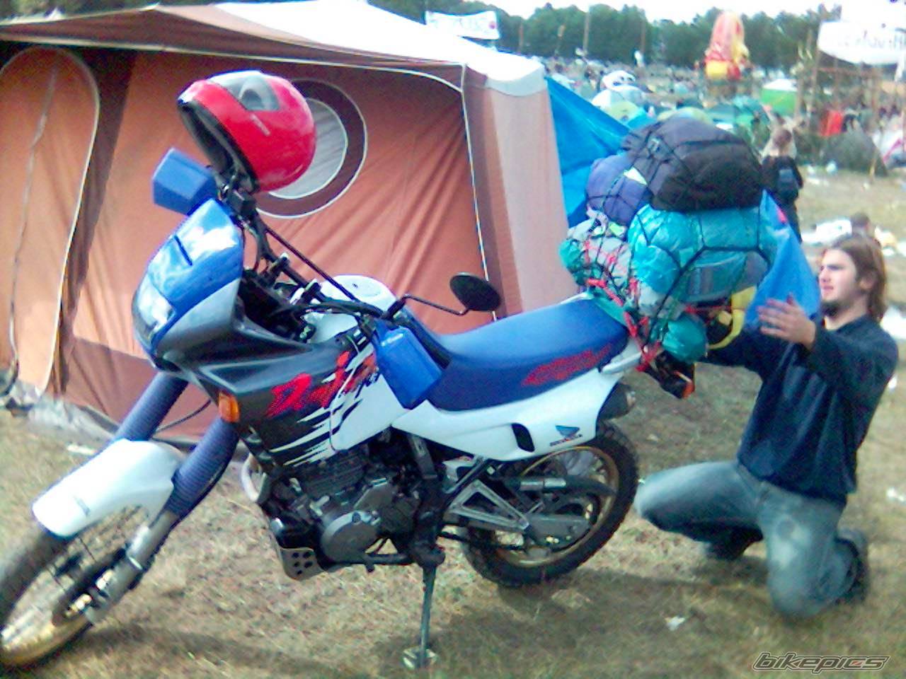 Photo 447838