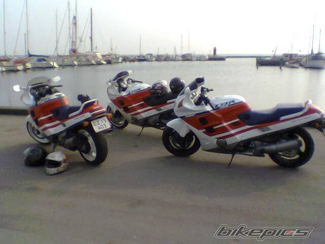 Photo 447847