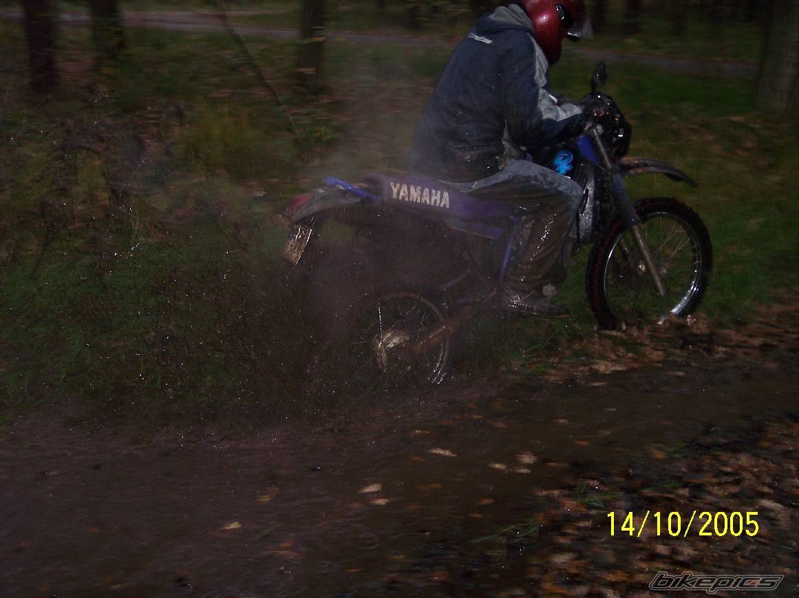 Bike Photo 447887