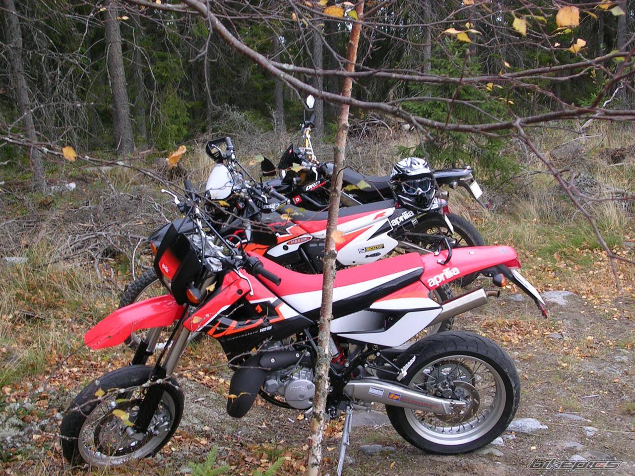Photo 447935