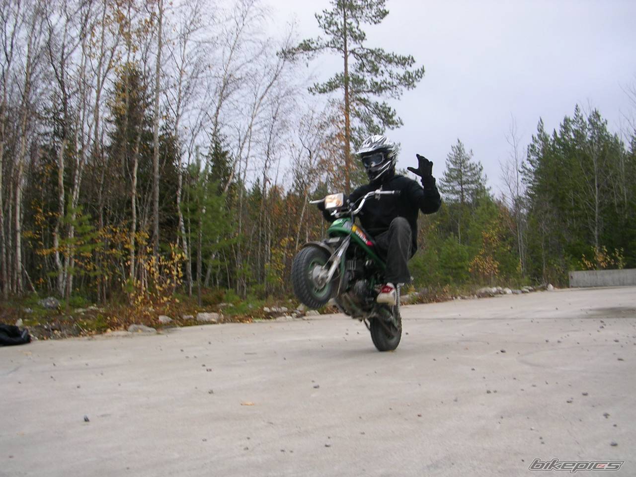 Photo 447950