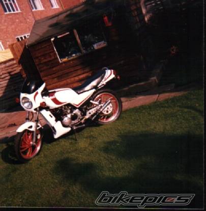 Bike Photo 448055