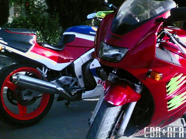 Photo 448081