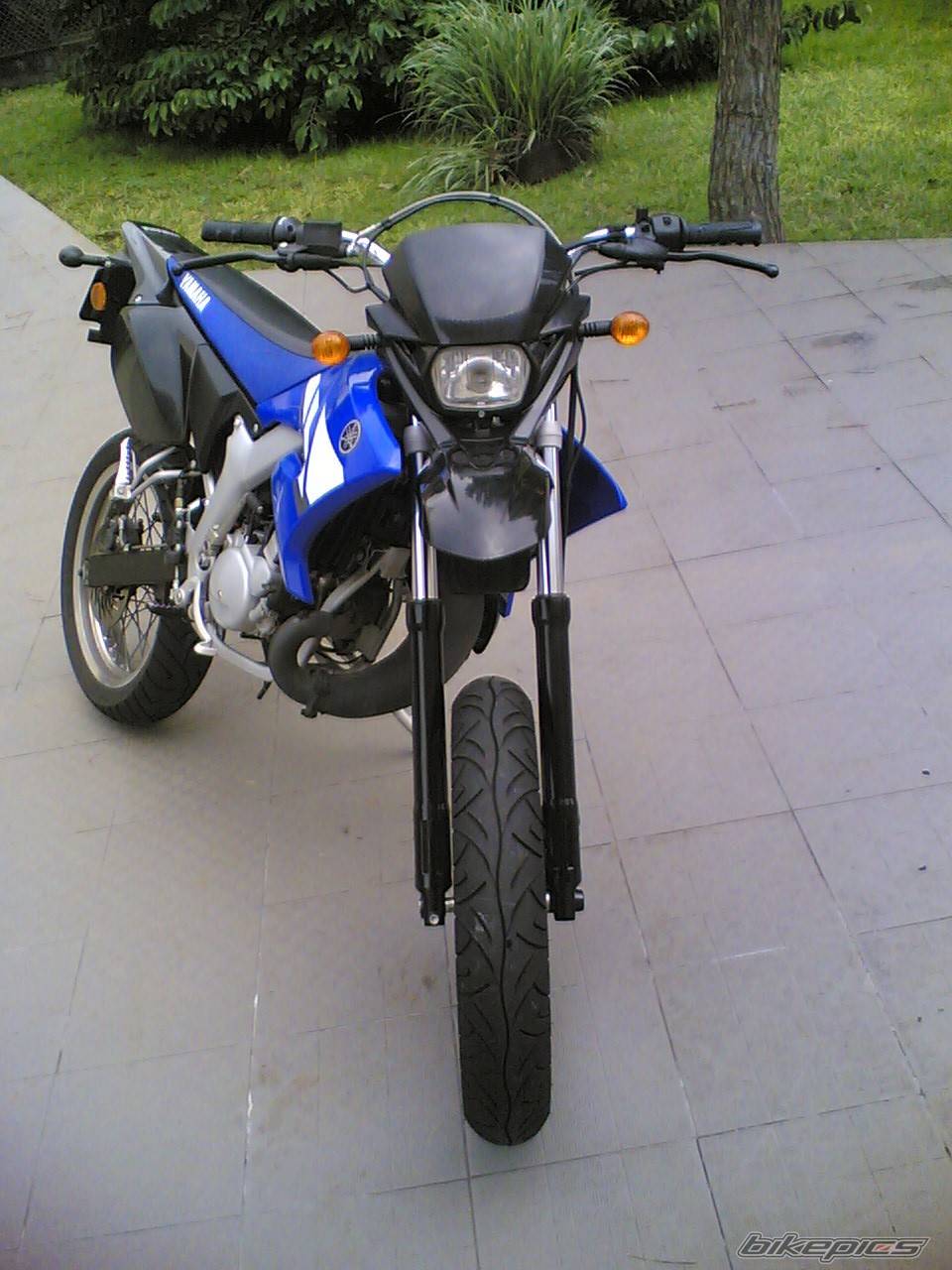 Bike Photo 448121