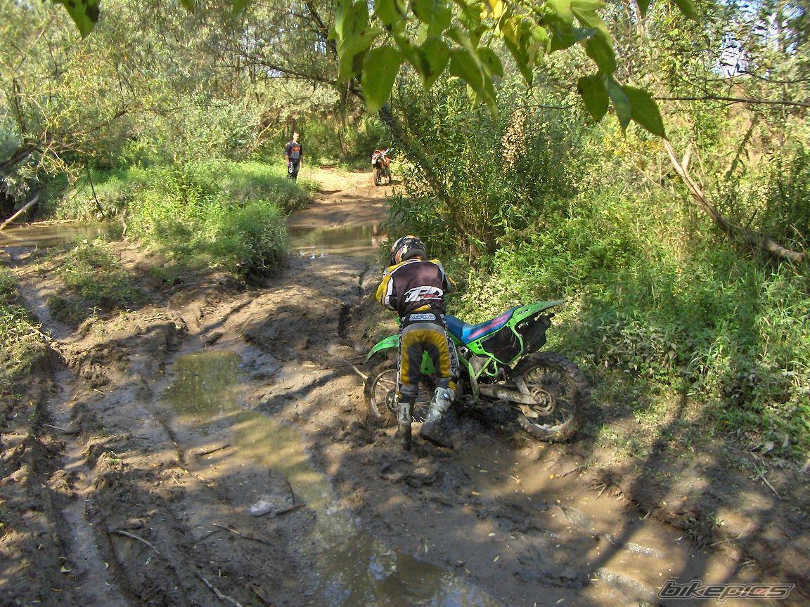 Photo 448245