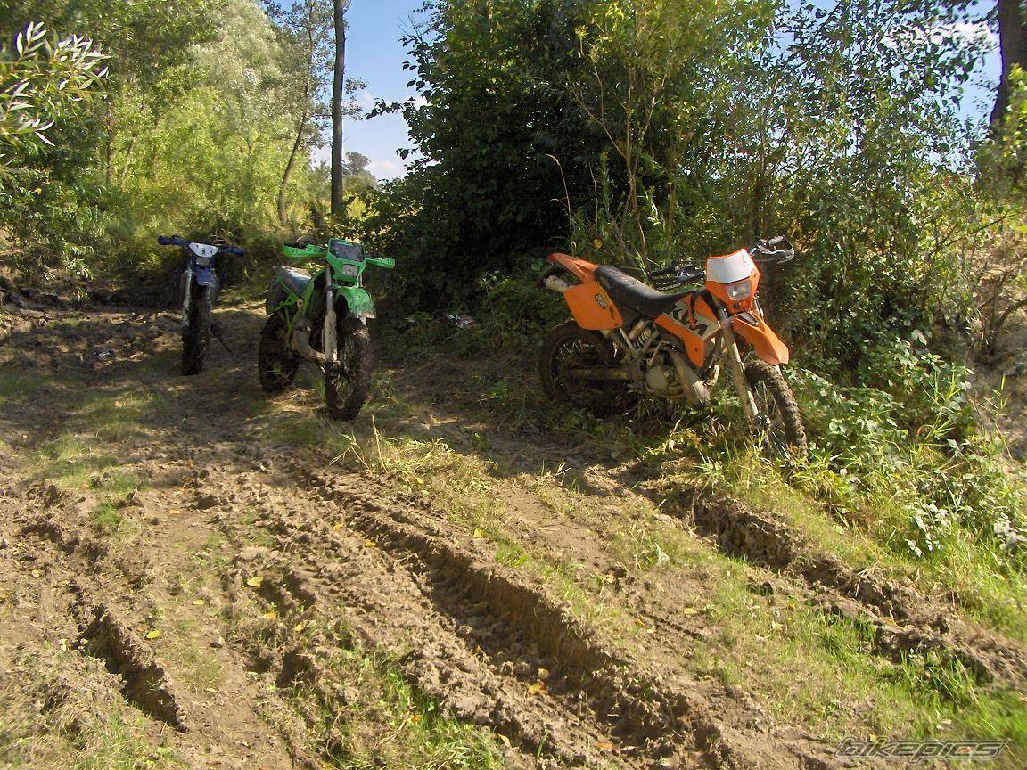 Photo 448247