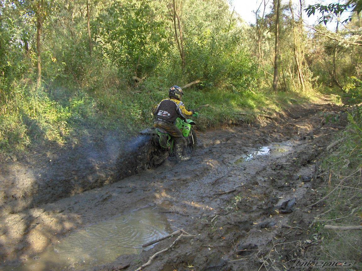 Bike Photo 448250