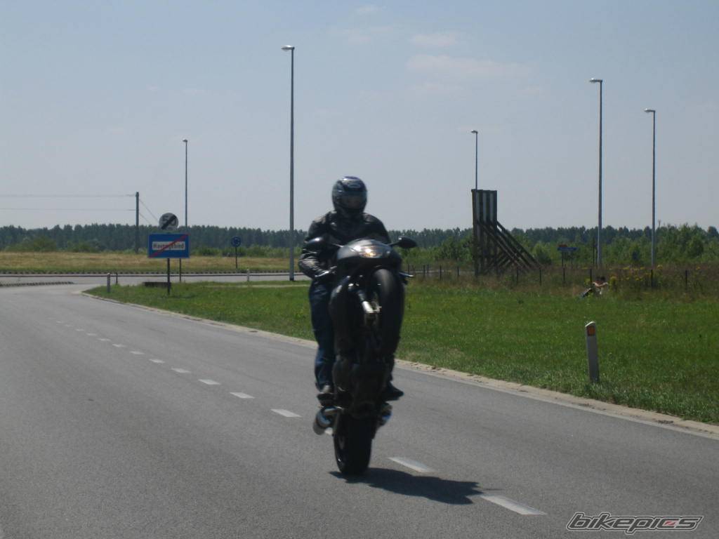 Photo 448258