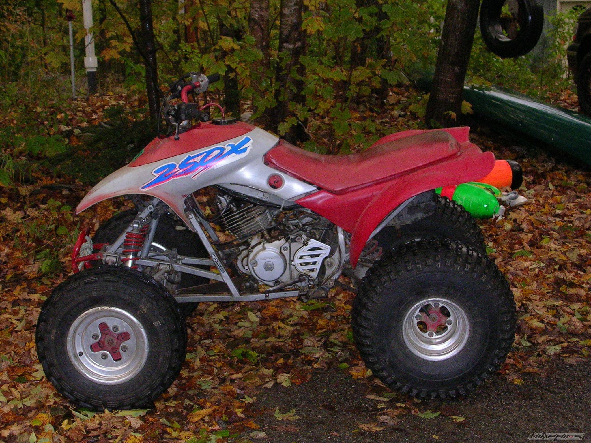 Photo 448312
