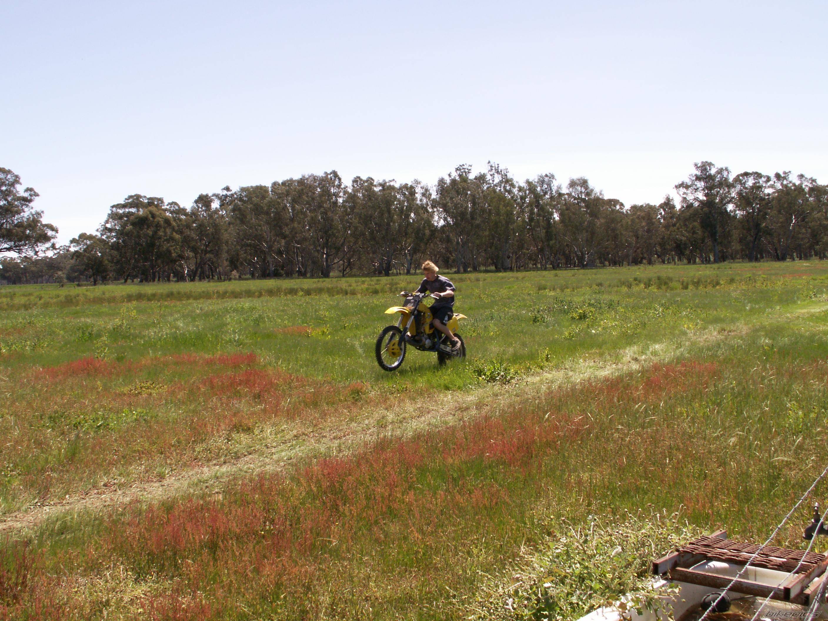 Bike Photo 448331