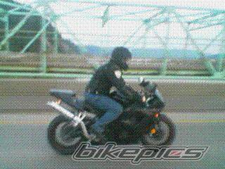 Photo 448358