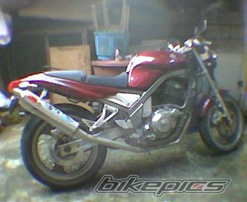 Photo 448366