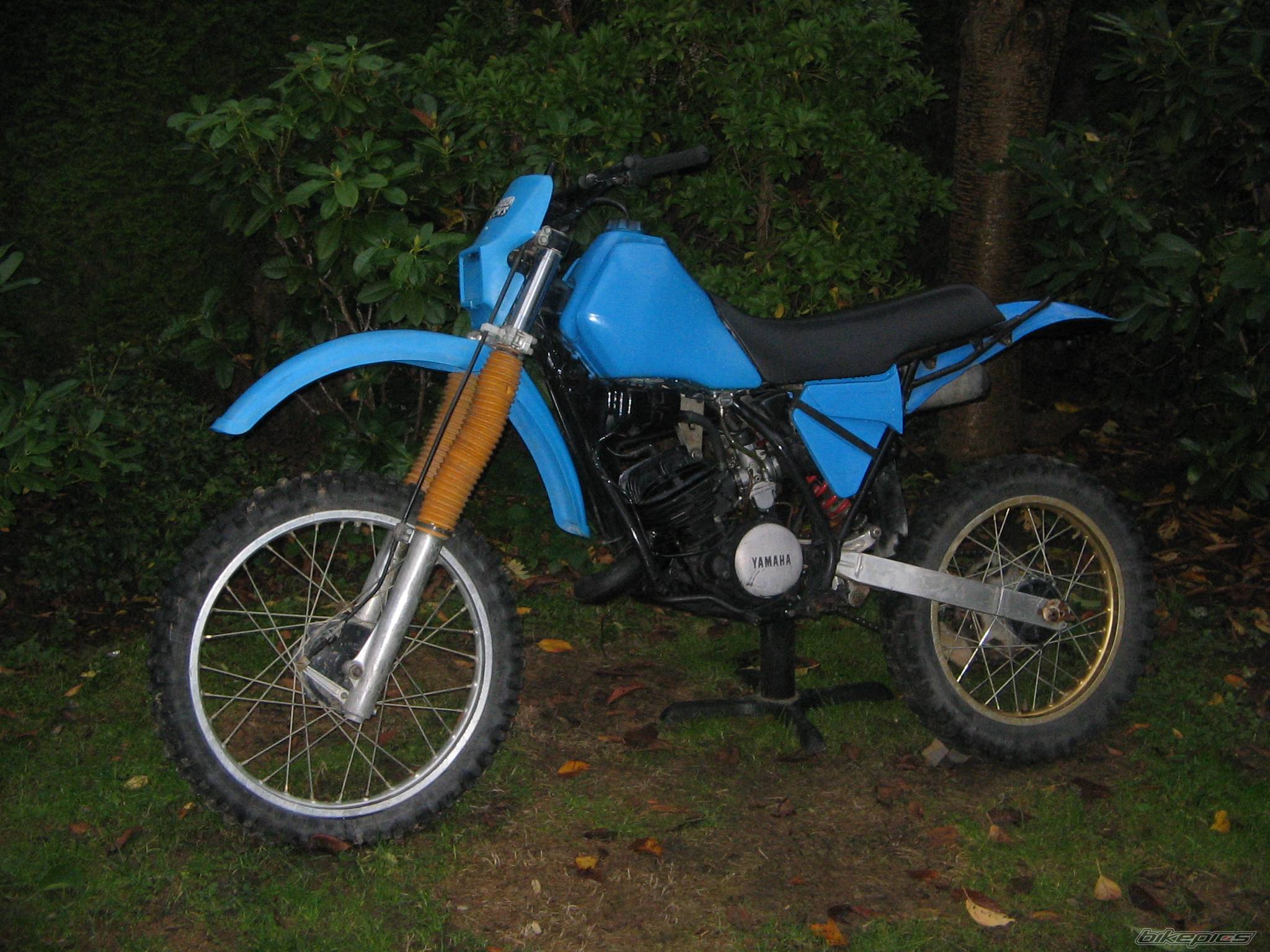 Photo 448370