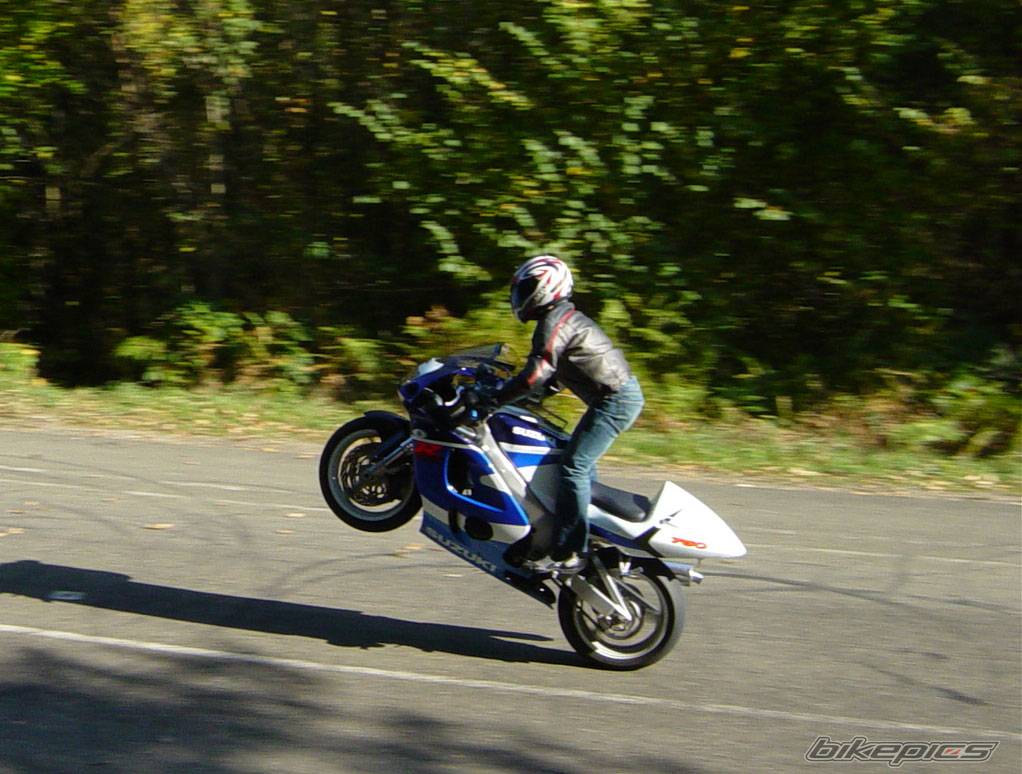 Photo 448417