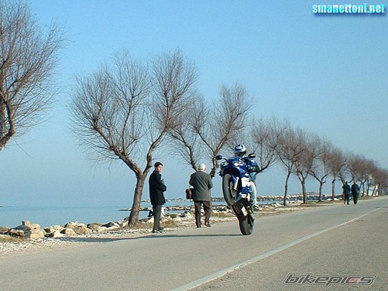 Photo 44843