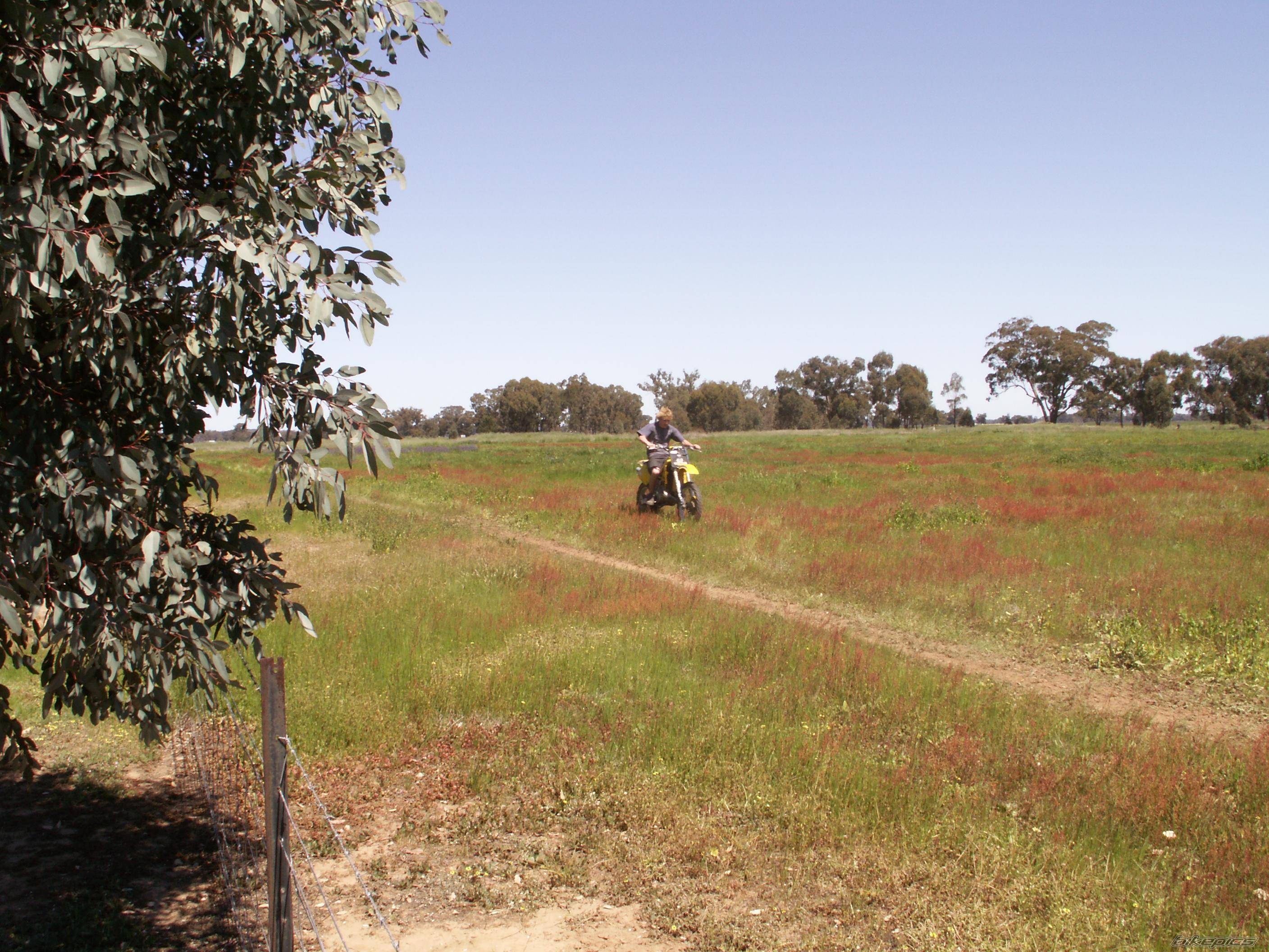 Bike Photo 448457