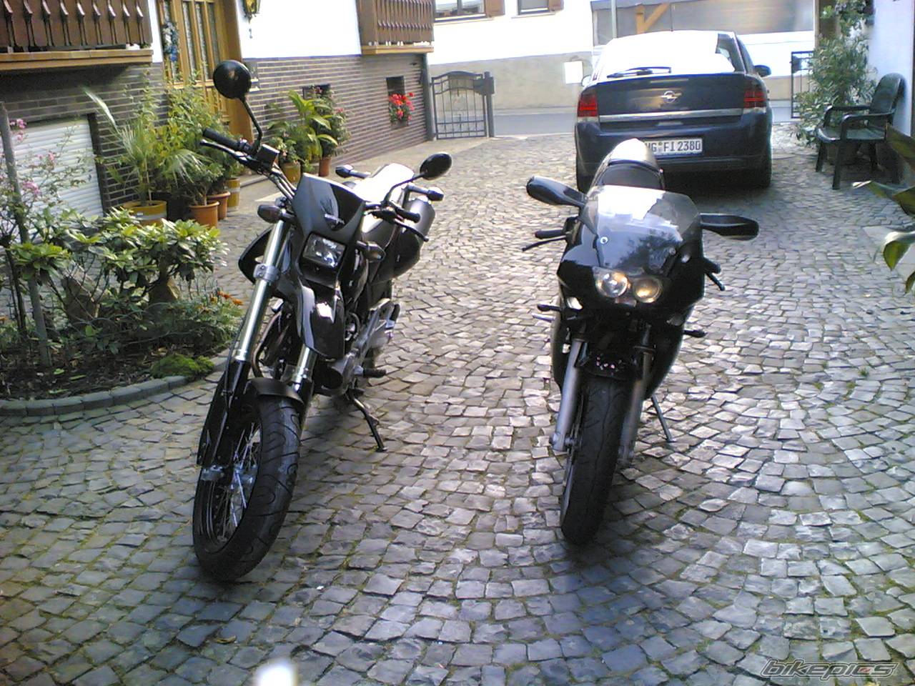 Photo 448477
