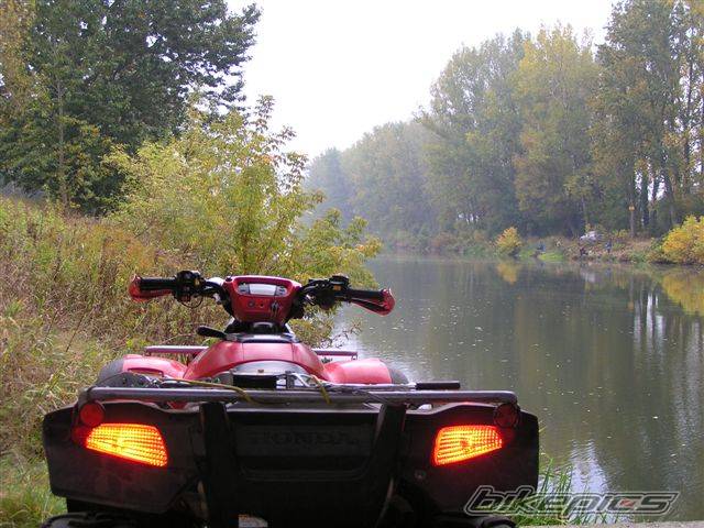 Photo 448502