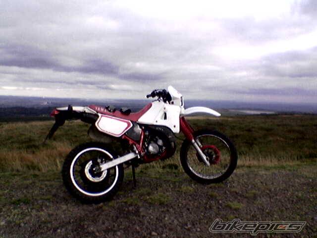 Photo 448506