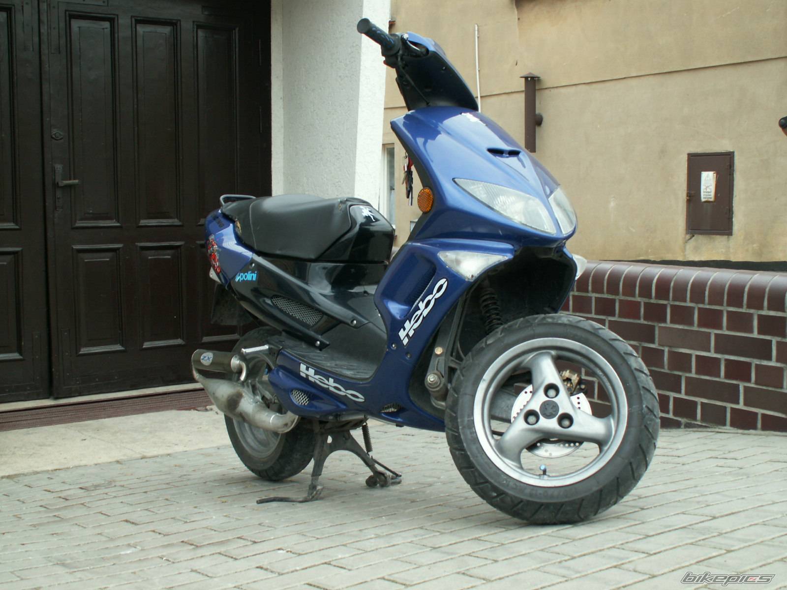 Photo 448573