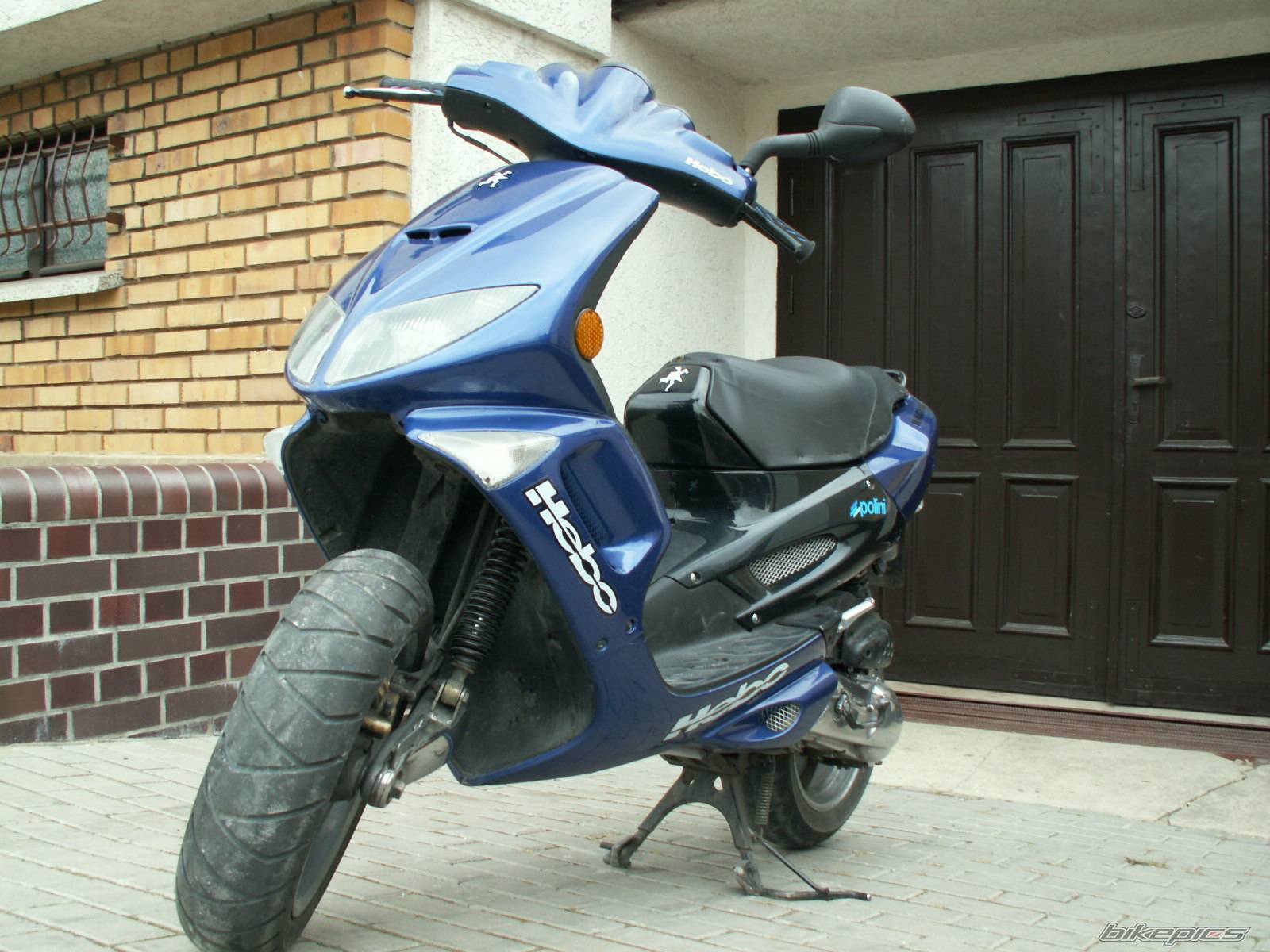 Photo 448577