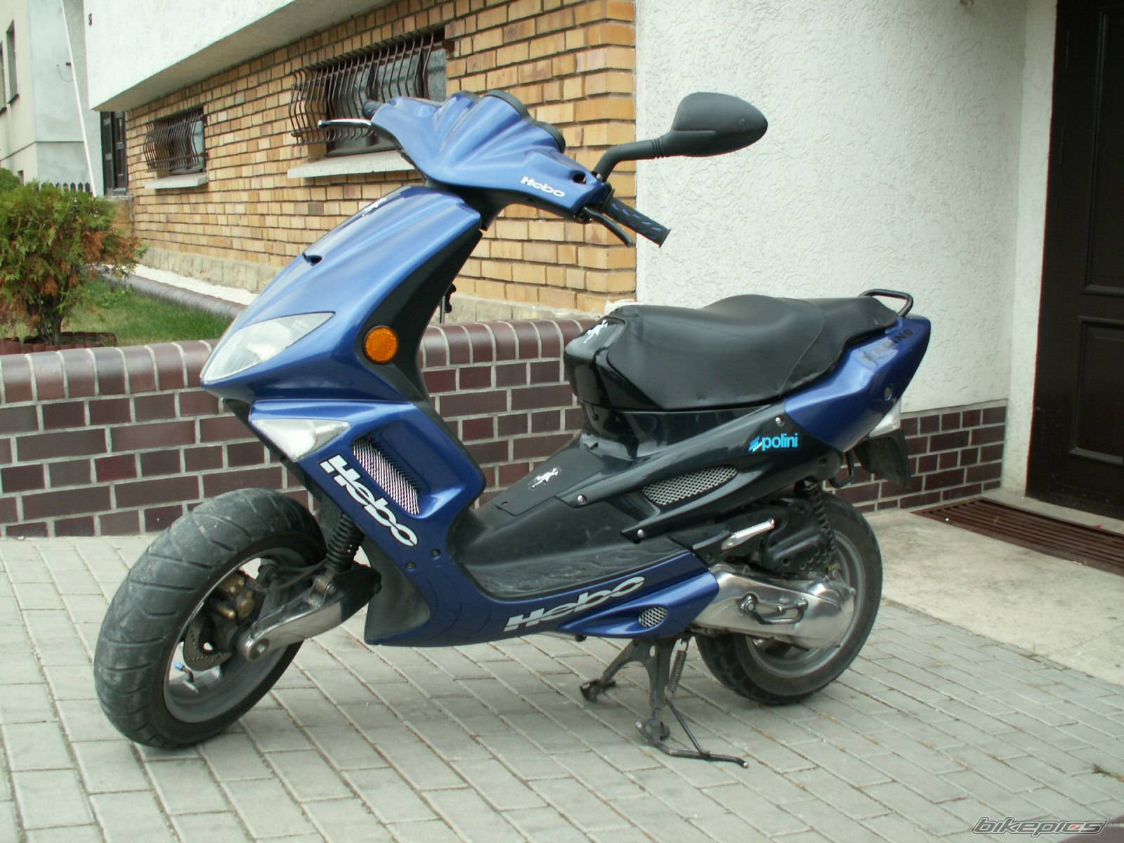 Photo 448578