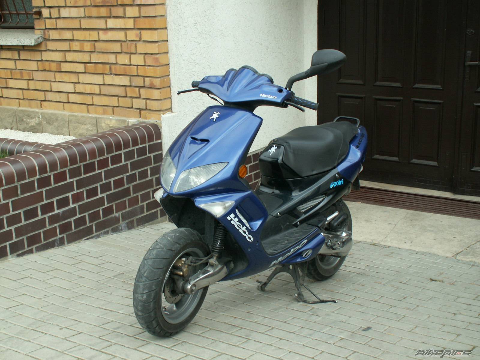 Photo 448579