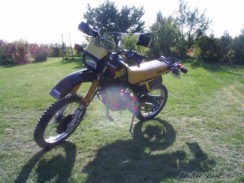Photo 448597