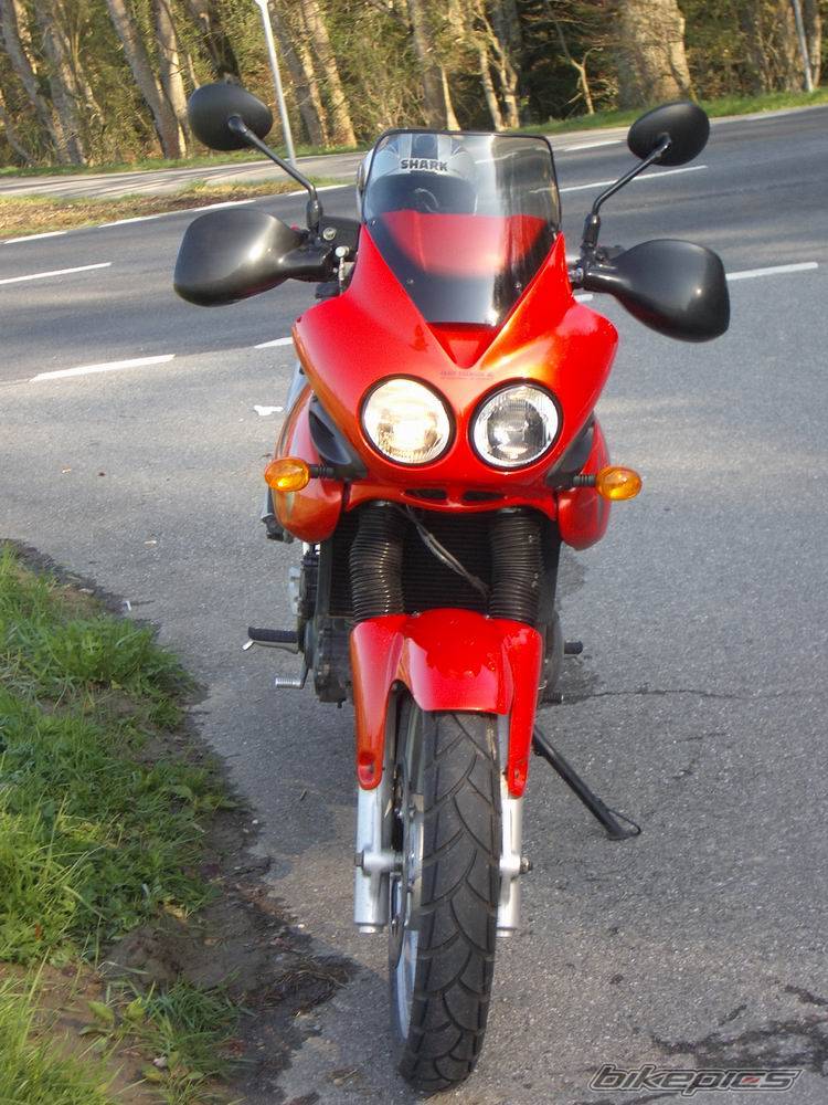 Bike Photo 448605