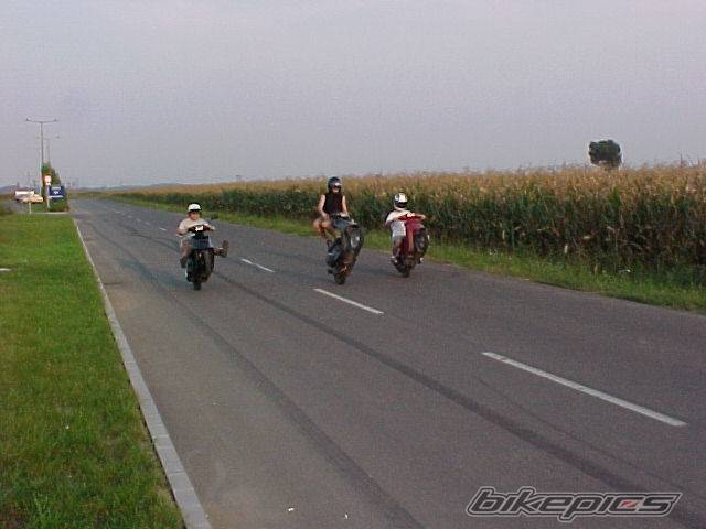 Photo 44866