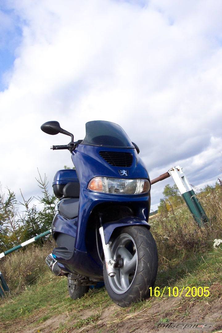 Photo 448721