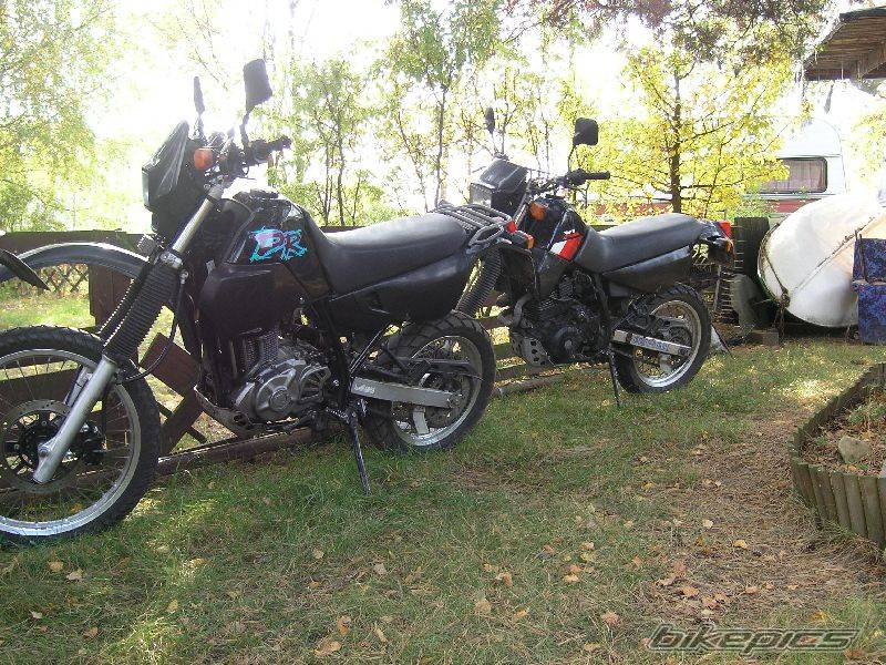 Bike Photo 448736