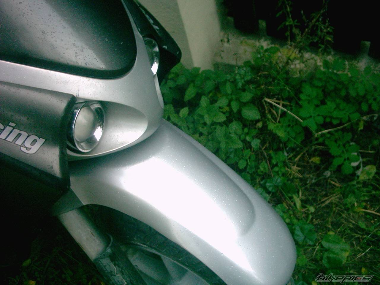 Photo 448737