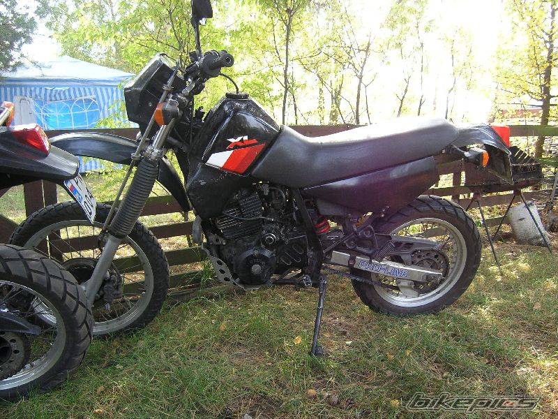 Bike Photo 448739