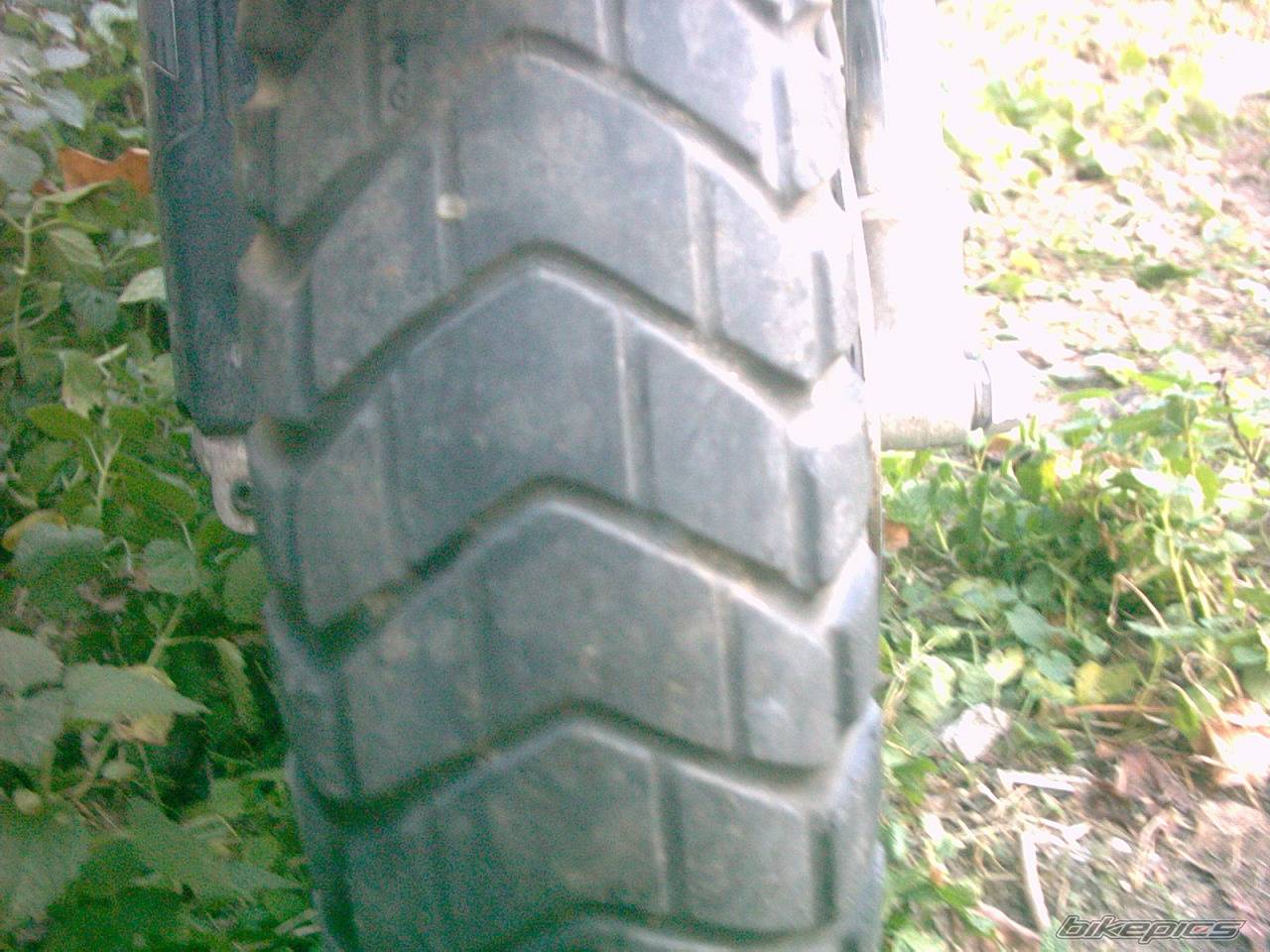 Photo 448743