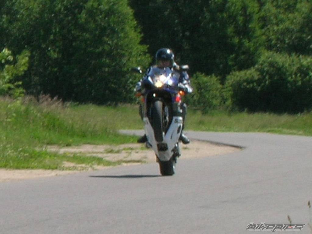 Photo 448779