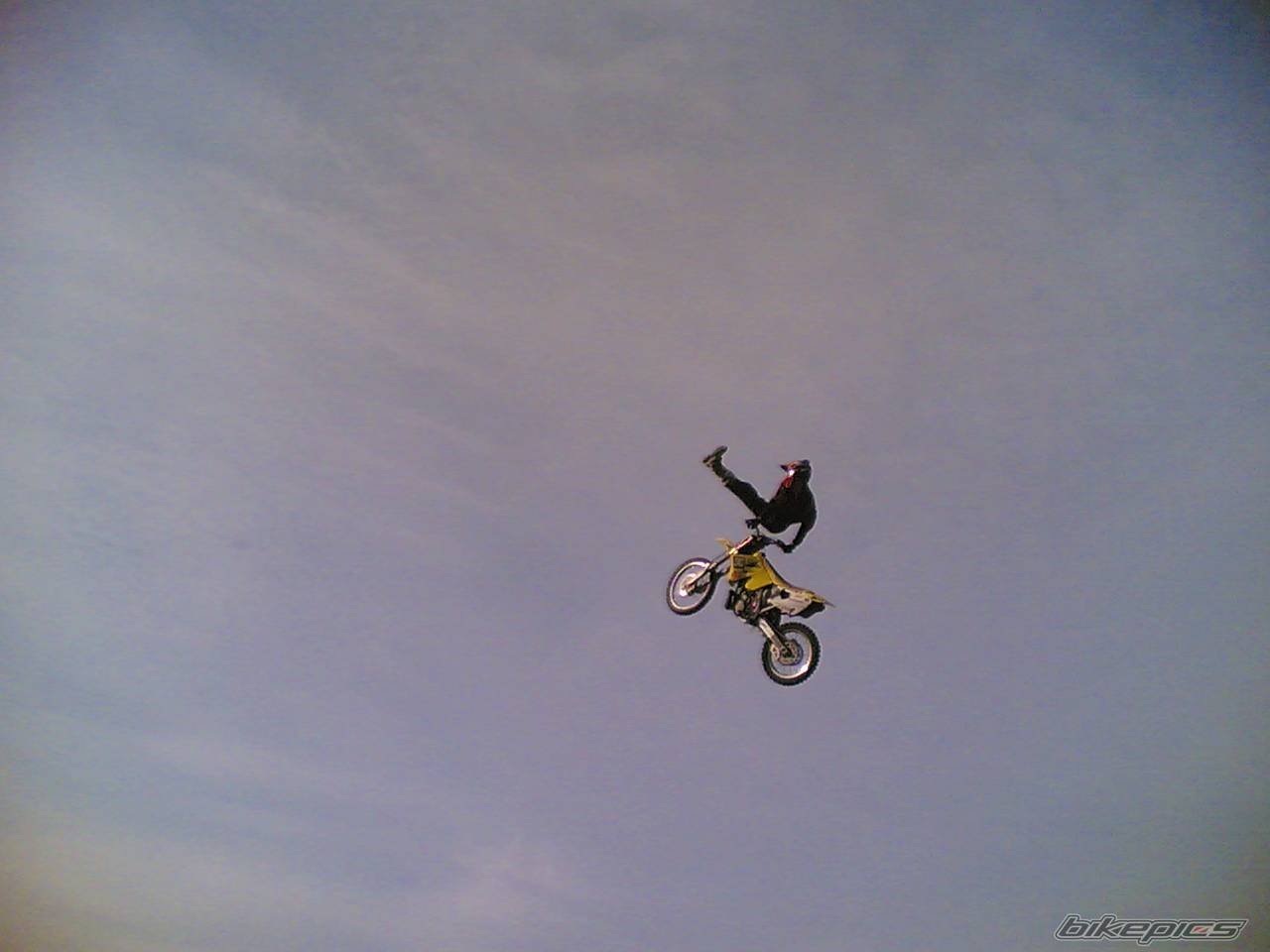 Photo 448866