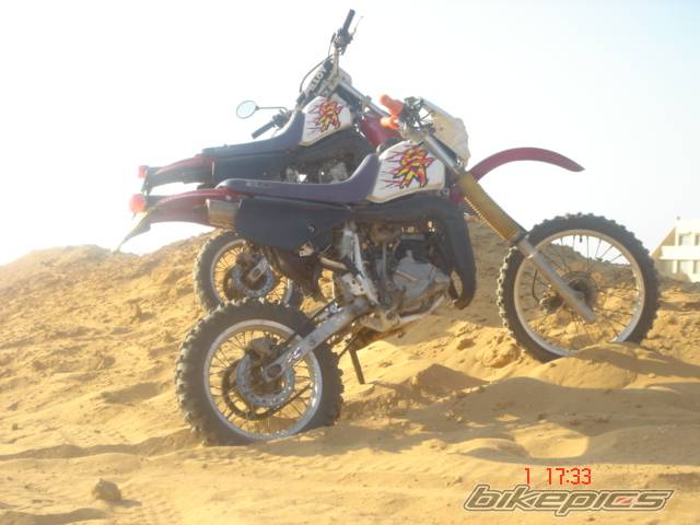 Photo 449014