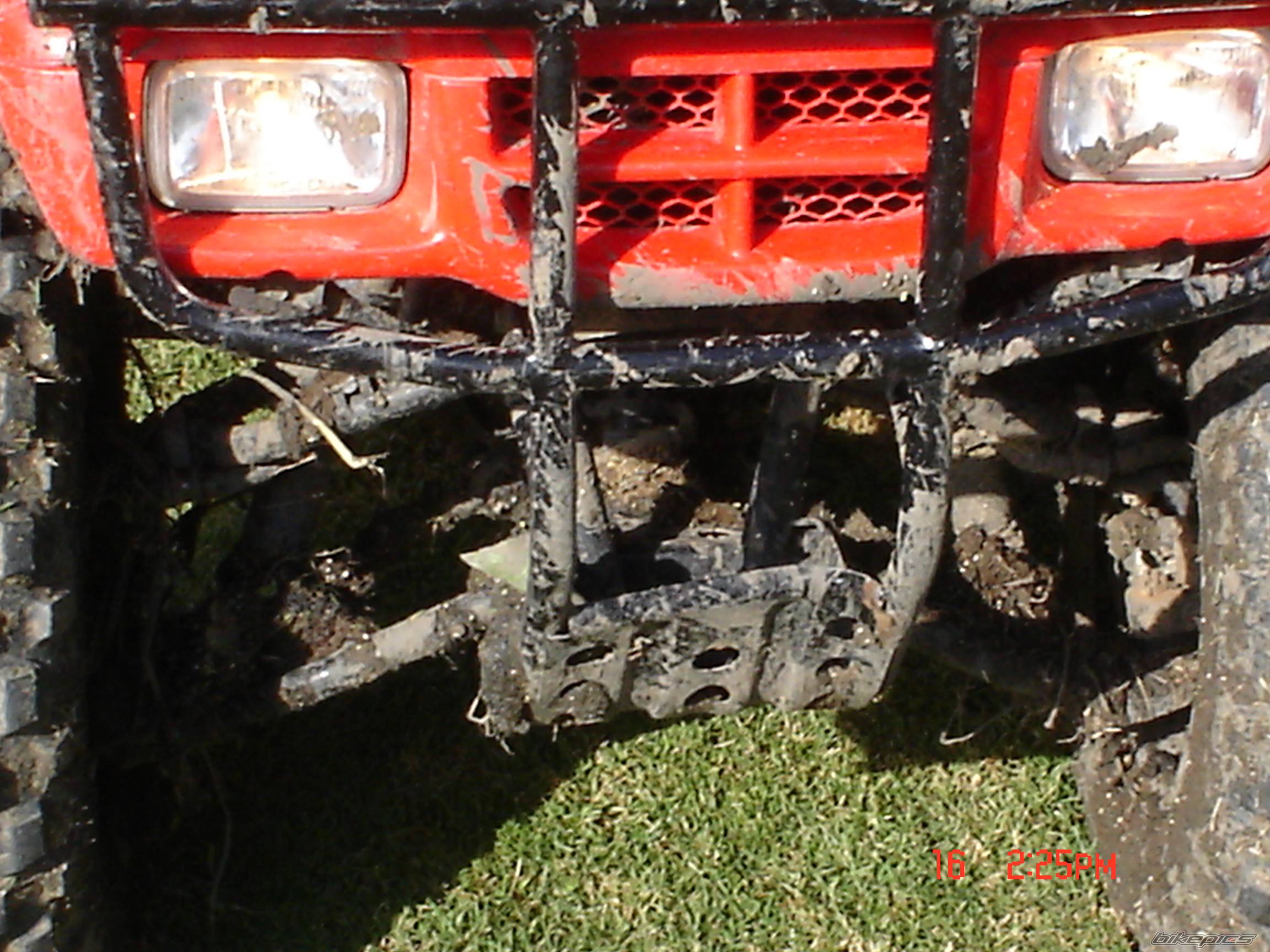 Photo 449082