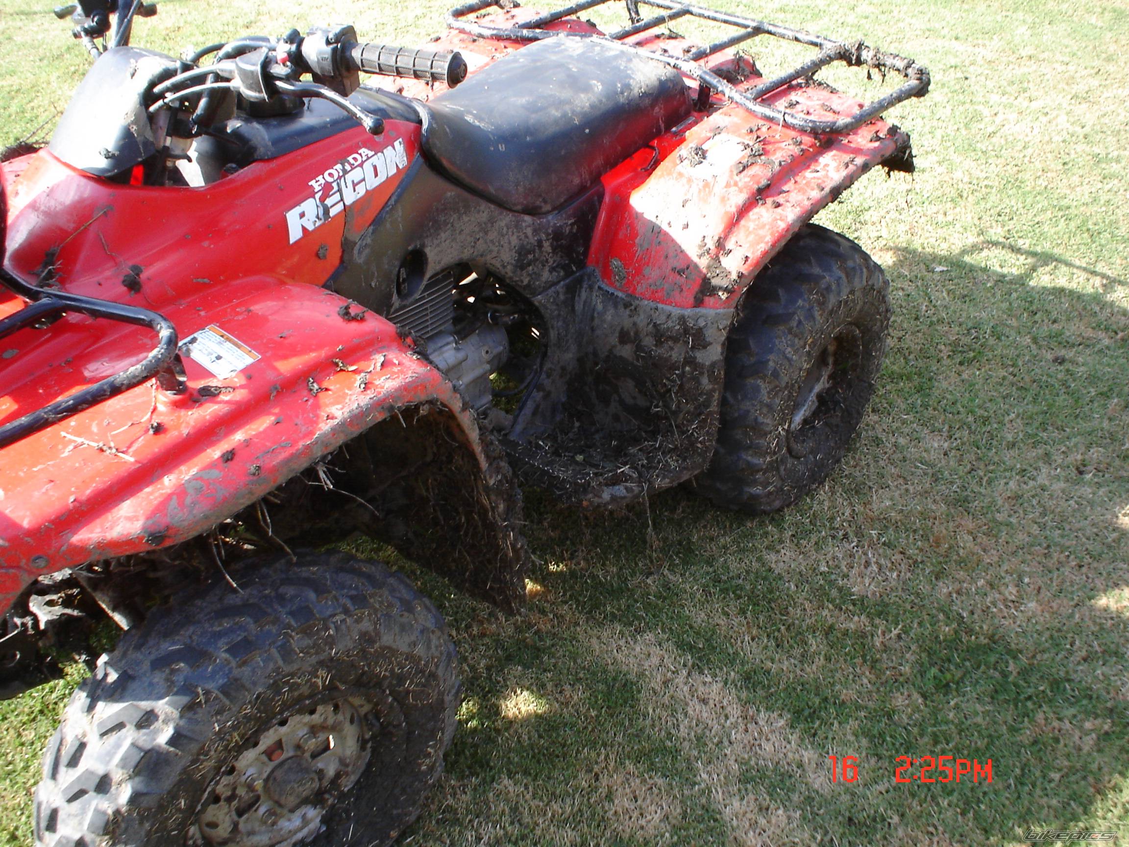 Photo 449083