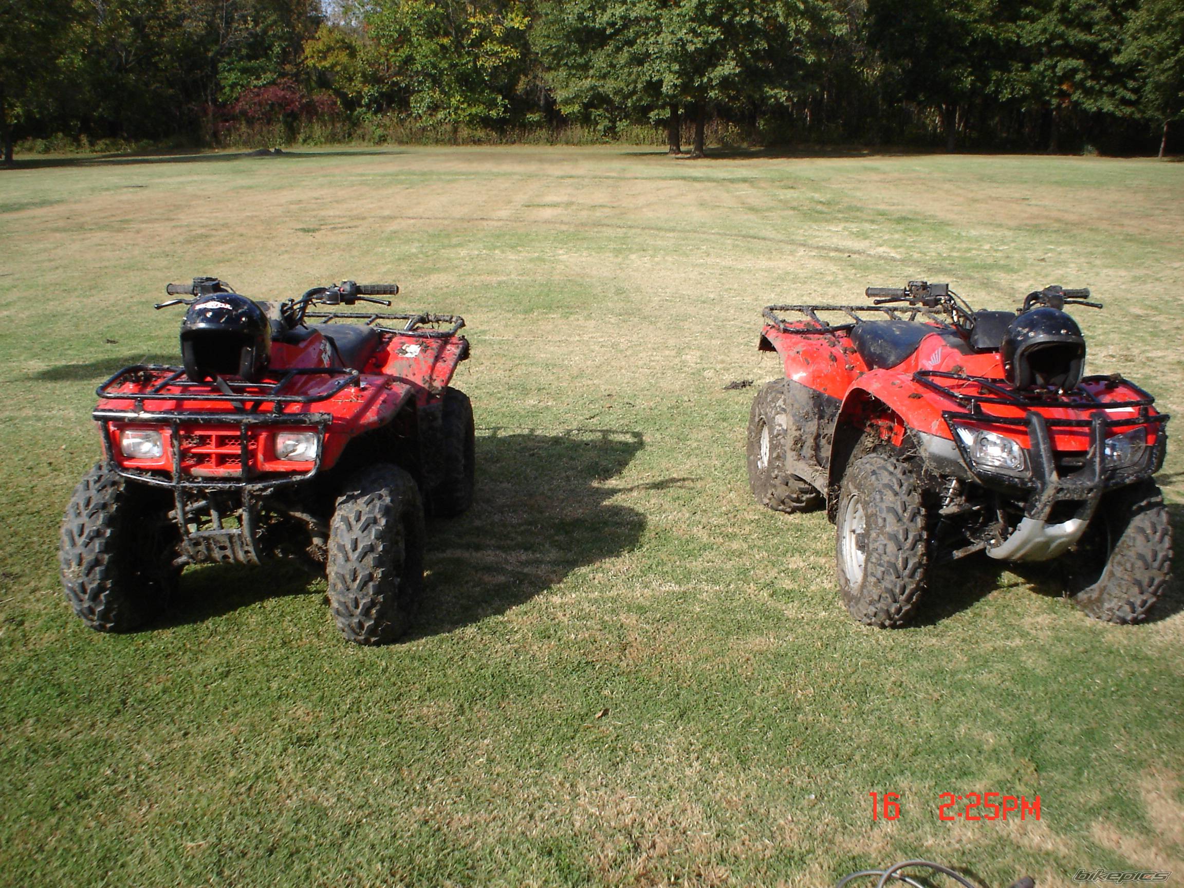 Photo 449084