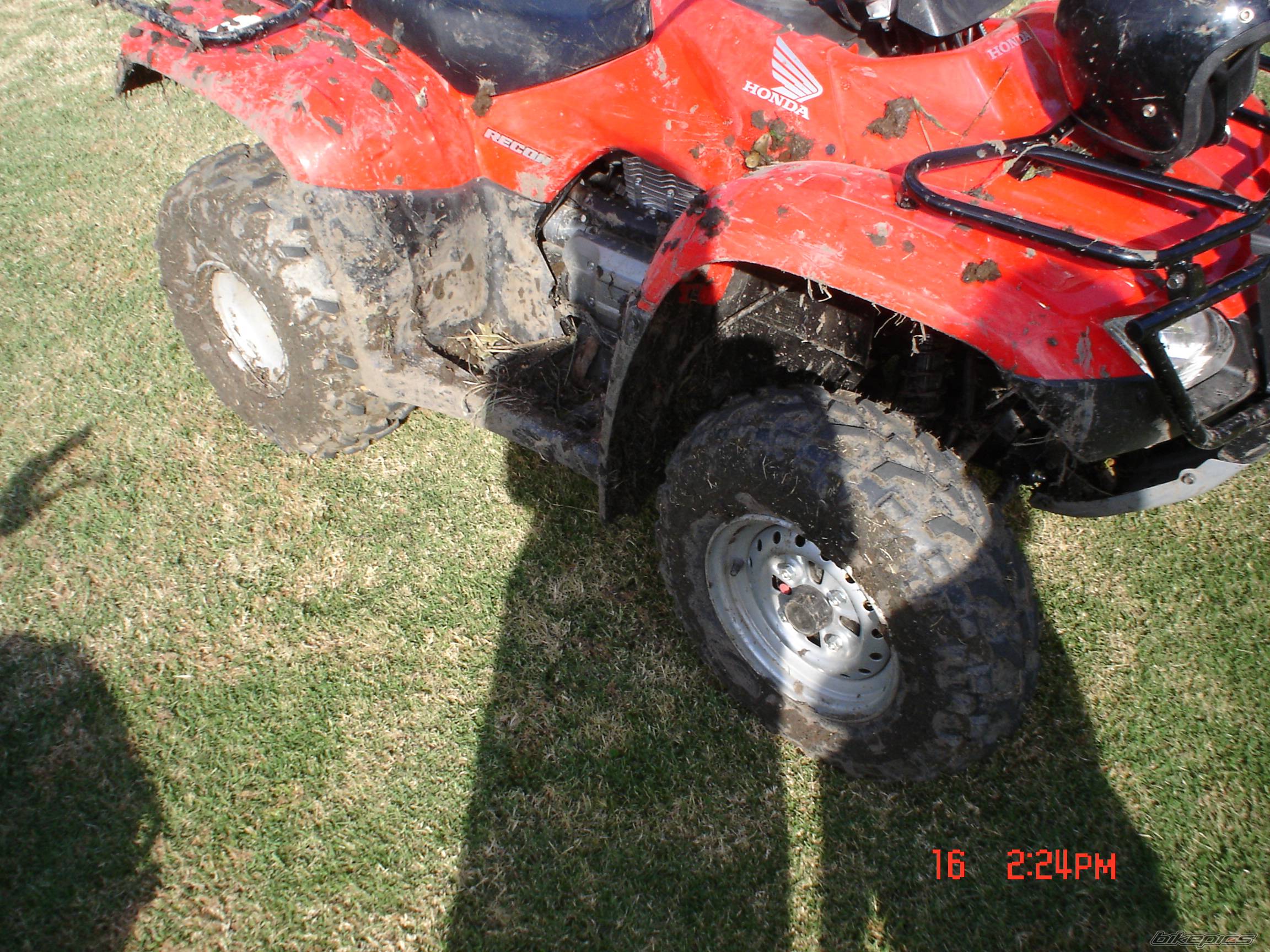 Photo 449090