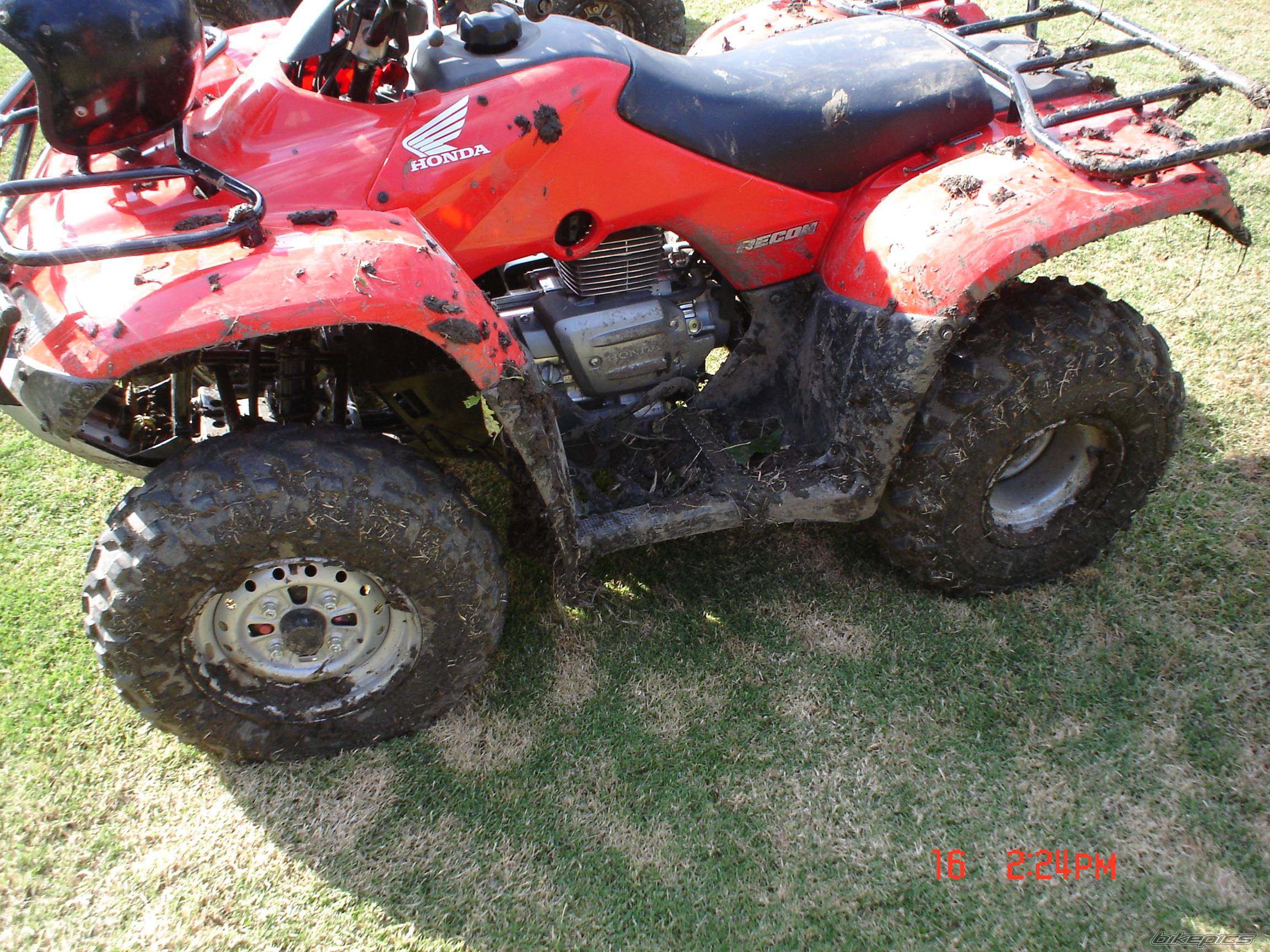 Photo 449091