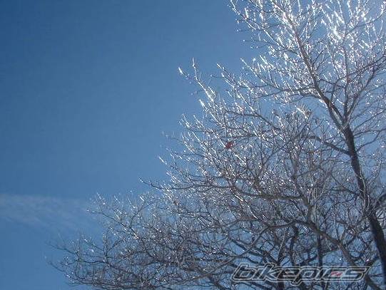 Photo 44913