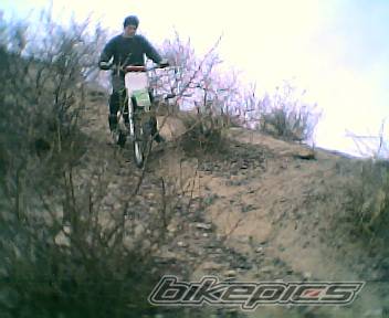 Bike Photo 449139