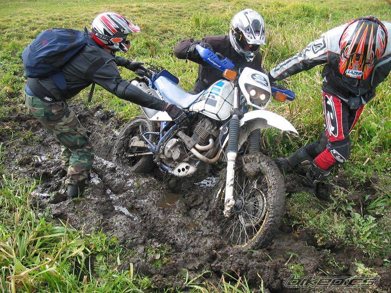 Bike Photo 449174