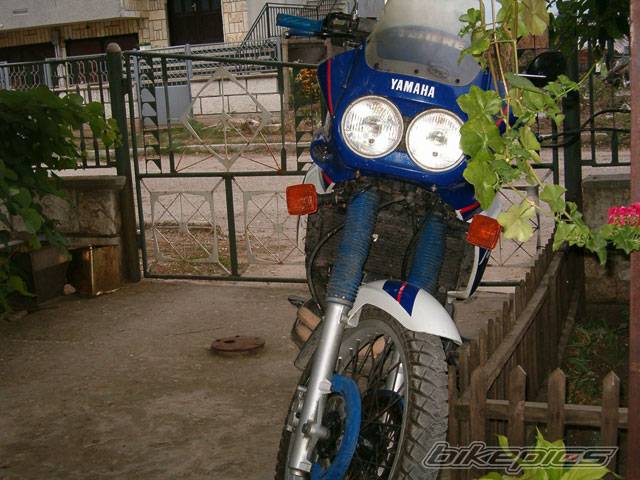Bike Photo 449265