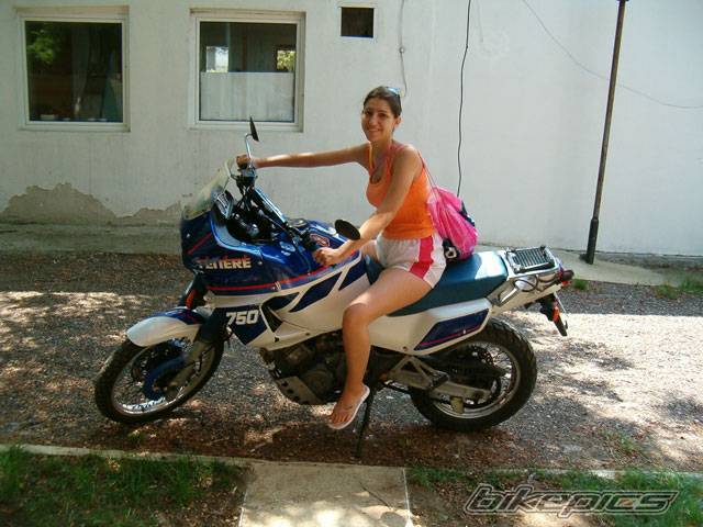 Bike Photo 449266