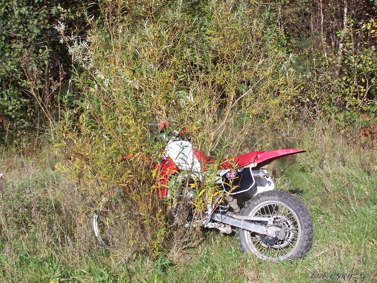 Bike Photo 449379