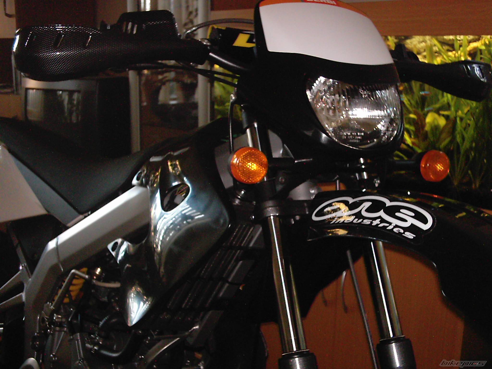 Photo 449416